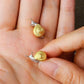 Whimsy Snail Shell Studs